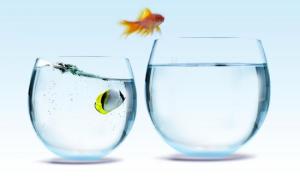 shutterstock_55400329