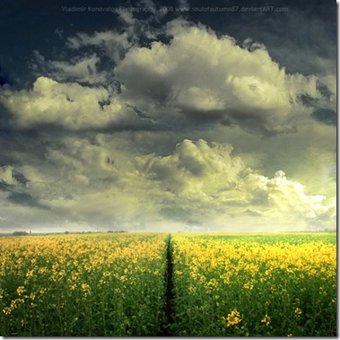 Right_After_Rain_by_soulofautumn87