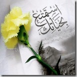 5607242838_46a789ddcf